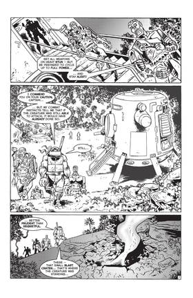 Read TMNT: Journeys  14 Page 9 in English