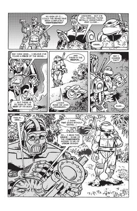 Read TMNT: Journeys  14 Page 10 in English