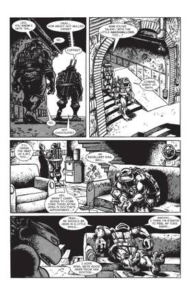 Read TMNT: Journeys  3 Page 9 in English