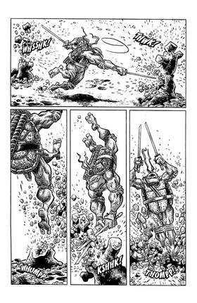 Read TMNT: Journeys  5 Page 7 in English
