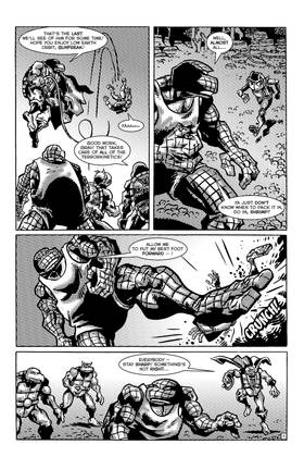 Read TMNT: Journeys  8 Page 10 in English