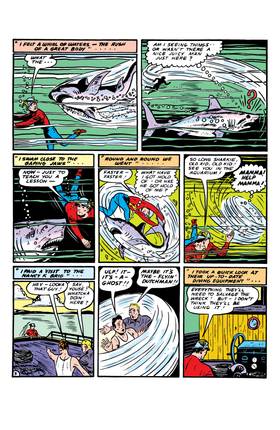 Read All-Star Comics (1940-)  2 Page 8 in English