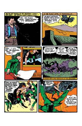 Read All-Star Comics (1940-)  8 Page 6 in English