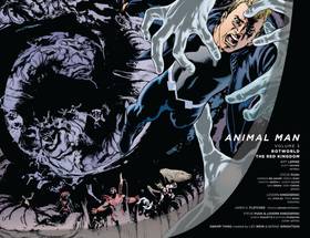 Read Animal Man (2011-)  3 Page 3 in English