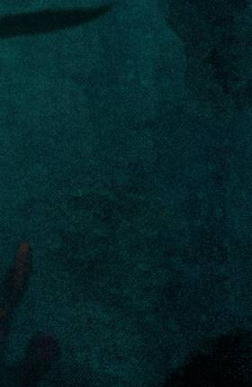 Read Aquaman (2016-)  5 Page 7 in English