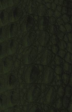 Read Batman: Reptilian (2021-)  5 Page 9 in English