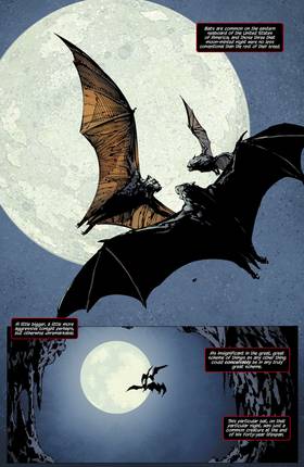 Read Batman: The Return of Bruce Wayne (2010-)  2 Page 2 in English