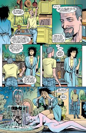 Read Black Orchid (1993-)  5 Page 6 in English
