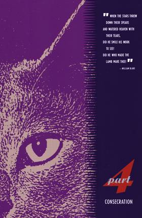 Read Catwoman (1988-)  4 Page 2 in English