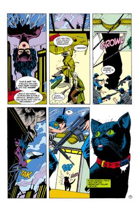 Read Catwoman (1993-2001)  9 Page 8 in English