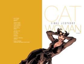 Read Catwoman (2002-2008)  6 Page 3 in English