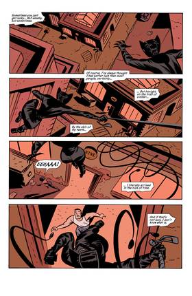 Read Catwoman (2002-2008)  10 Page 2 in English