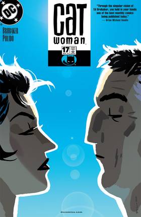 Read Catwoman (2002-2008)  23 Page 1 in English