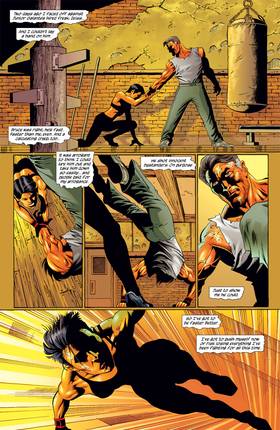 Read Catwoman (2002-2008)  35 Page 3 in English