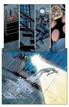 Read Catwoman (2002-2008)  73 Page 2 in English