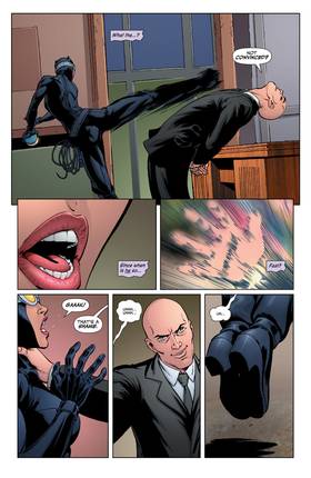 Read Catwoman (2002-2008)  71 Page 3 in English