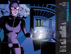 Read Catwoman (2011-2016)  8 Page 3 in English