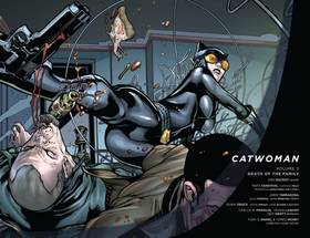 Read Catwoman (2011-2016)  3 Page 3 in English