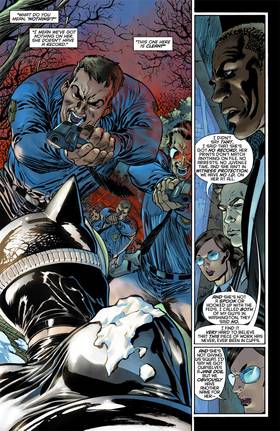 Read Catwoman (2011-2016)  14 Page 2 in English