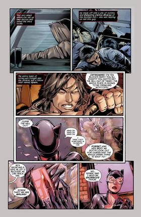 Read Catwoman (2011-2016)  20 Page 3 in English