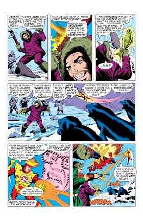 Read Firestorm (1978-)  4 Page 3 in English