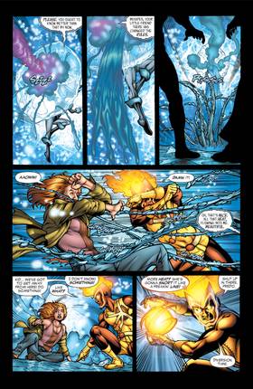Read Firestorm (2004-)  9 Page 5 in English