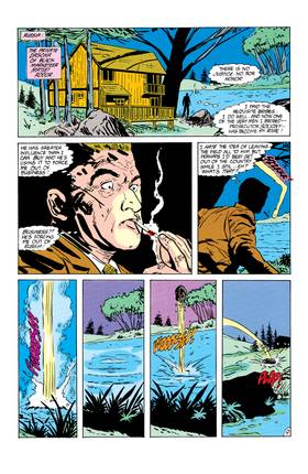 Read Firestorm: The Nuclear Man (1987-)  6 Page 10 in English