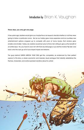 Read Green Arrow: Year One (2007-)  2 Page 5 in English