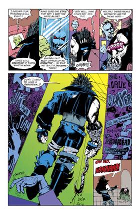 Read Lobo Mini-Series (1990-)  2 Page 5 in English