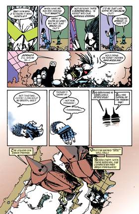 Read Lobo Mini-Series (1990-)  3 Page 10 in English