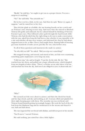 Read Neil Gaiman & Charles Vess' Stardust (1997-)  5 Page 7 in English