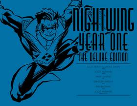 Read Nightwing (1996-2009)  2 Page 3 in English