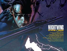 Read Nightwing (1996-2009)  3 Page 3 in English