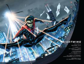 Read Nightwing (2011-2014)  4 Page 3 in English