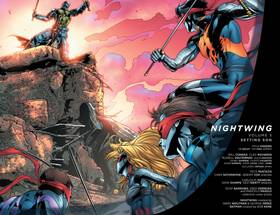 Read Nightwing (2011-2014)  5 Page 3 in English