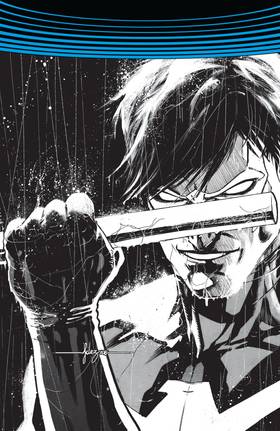 Read Nightwing: The Rebirth - Deluxe Edition  1 Page 6 in English