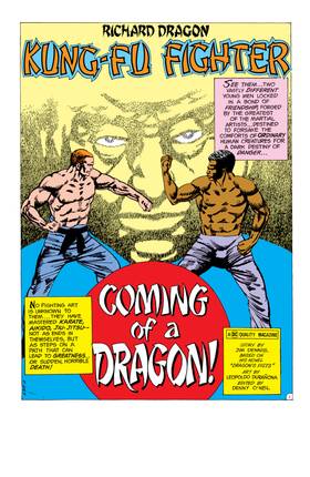 Read Richard Dragon, Kung Fu Fighter (1975-1977)  1 Page 8 in English