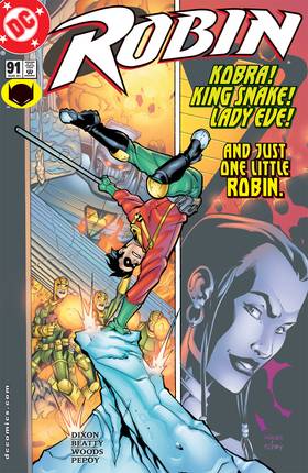 Robin (1993-2009): Robin (1993-2009) #91