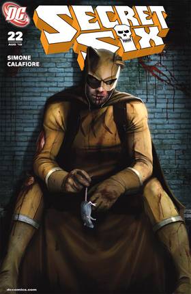 Read Secret Six (2008-2011)  25 Page 1 in English