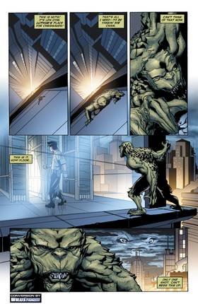 Read Superman/Batman (2003-)  7 Page 2 in English
