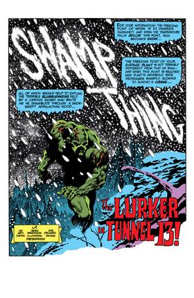 Read Swamp Thing (1972-1976)  9 Page 2 in English
