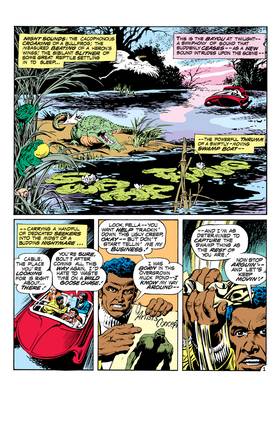 Read Swamp Thing (1972-1976)  14 Page 2 in English
