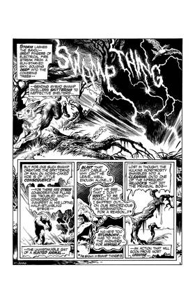 Read Swamp Thing (1972-1976)  16 Page 2 in English