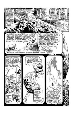 Read Swamp Thing (1972-1976)  20 Page 3 in English
