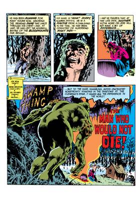 Read Swamp Thing (1972-1976)  11 Page 2 in English