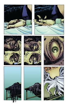 Read Swamp Thing (2004-)  2 Page 3 in English