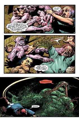 Read Swamp Thing (2004-)  8 Page 10 in English