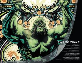 Read Swamp Thing (2011-2015)  3 Page 3 in English