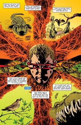 Read Swamp Thing (2011-2015)  5 Page 10 in English