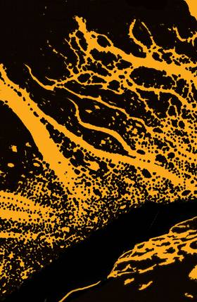 Read Swamp Thing (2011-2015)  6 Page 6 in English